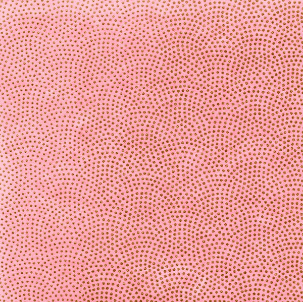 Papier japonais Samekomon – Points dorés sur fond rose  –
